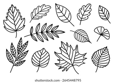 Hand Drawn Black Outline Set of Autumn Leaves