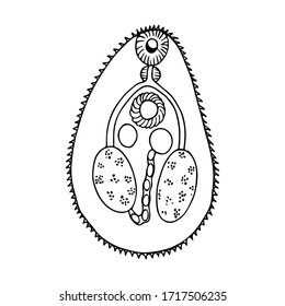 Hand drawn black outline vector illustration of animal and human parasite isolated on a white background. 
Graphic image of trematode helminth body anatomy.