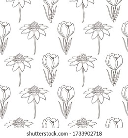 Hand drawn black outline vector wild field flowers seamless pattern. Decorative floral card, art design, herbal wallpaper, vintage scrap book