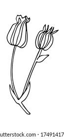Hand drawn black outline wild herbs isolated on a white background. Monochrome herbal vector element fo graphic design.