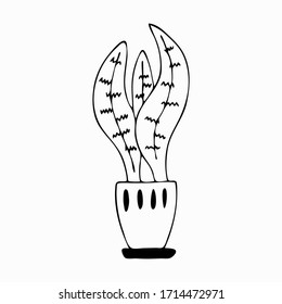 Hand drawn of black plant in the pot.
