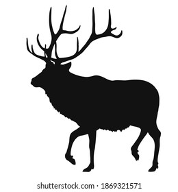 hand drawn black silhouette of a deer with antlers, isolated on white background