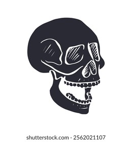 Hand drawn black silhouette human skull isolated on white background. Monochrome skeleton head desig