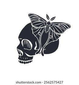 Hand drawn black silhouette of human skull with luna moth sitting on top isolated on white background. Monochrome Bohemian skeleton head with butterfly design