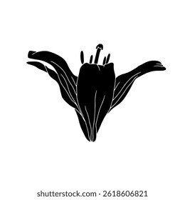 Silhueta preta desenhada à mão de linocut de flor de lírio. Mês de nascimento monocromático maio flor. Ilustração vetorial botânica isolada em branco.