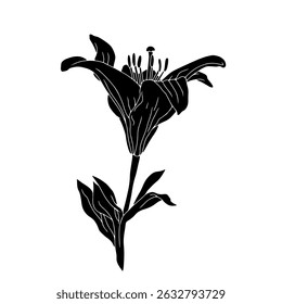 Silhueta preta desenhada à mão da flor de lírio com tronco e linocut de folha. Mês de nascimento monocromático maio flor. Ilustração vetorial botânica isolada em branco.
