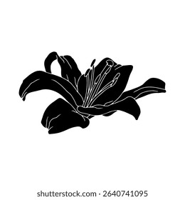 Hand drawn black silhouette of lily bloom linocut. Monochrome birth month May flower. Botanical vector illustration isolated on white.