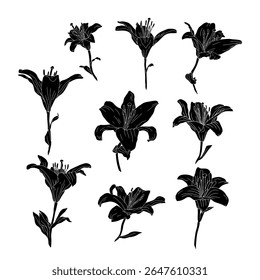 Hand drawn black silhouette of lily bloom with stem and leaf linocut. Monochrome birth month May flower. Botanical vector illustration isolated on white.