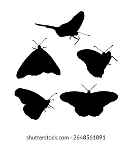Mão desenhada preto silhueta monarca borboletas clip art set. Lindos insetos tropicais monocromáticos projetam feixes. Ilustração vetorial