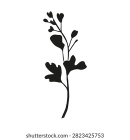 Hand drawn black silhouette of rapeseed flower isolated on white background. Blooming canola plant. Mustard flowers on stem with leaves. Oilseed rape. Perfect for cutting machines, plotter and laser.