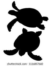 Hand drawn black silhouette sea turtle isolated on white background. Vector illustration. Sea theme.