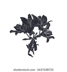 Hand drawn black silhouettes of lily flowers beautiful romantic bouquet with cute bow knot. Botanical vector illustration isolated on white.