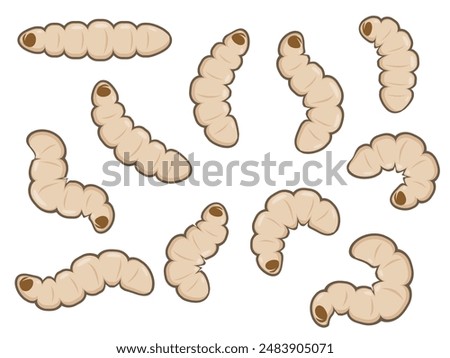 Hand drawn black soldier fly maggots worms illustration