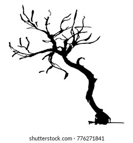 Hand drawn black tree isolated on white background. Branches of small plant on vector illustration. Simple gray sketch.