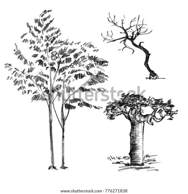 Hand Drawn Black Tree Isolated On Nature Stock Image