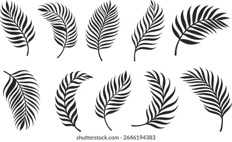 Hand drawn black tropical palm leaves in silhouette style.