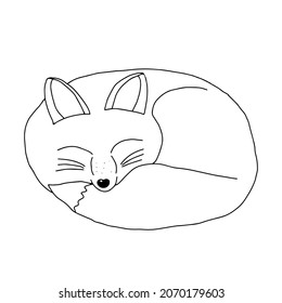 A Hand drawn black vector illustration of a beautiful adult young funny fox with a long fluffy tail is sleeping on a white background