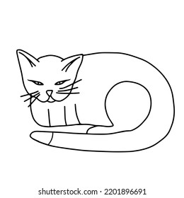 Hand drawn black vector illustration a portrait of a beautiful fan adult young cat with big eyes isolated on a white background