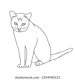 A Hand drawn black vector illustration a portrait of a beautiful fan adult young cat with big eyes isolated on a white background