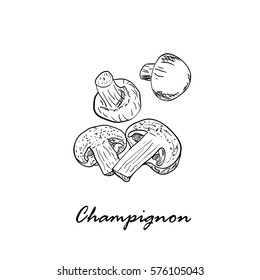 Hand drawn black vector illustration of champignon isolated on white