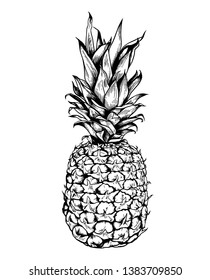 Hand drawn black vector pineapple on a white background.