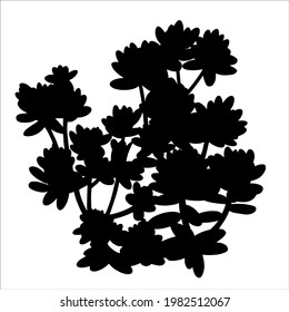 Hand Drawn Black Vector  Silhouette Of Succulent. Stock Illustration Of Desert Plant.