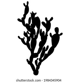 Hand drawn black vector  silhouette of cactus. Stock illustration of desert plant opuntia 