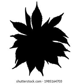 Hand Drawn Black Vector  Silhouette Of Succulent. Stock Illustration Of Desert Plant.