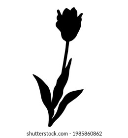 Silueta vectorial negra dibujada a mano de tulipán aislado sobre fondo blanco. Ilustración de la planta de jardín.
