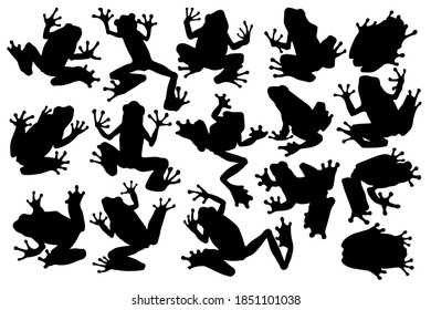 Hand drawn black vector silhouettes of tree frogs. Stock illustration of amphibians. svg