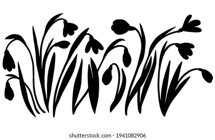 Hand drawn black vector silhouettes of snowdrops. Stock illustration of spring flowers.