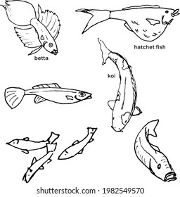 
Hand Drawn, Black And White, Aquatic Fish Collection With Betta, Hatchet Fish, Koi