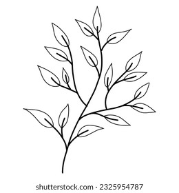 Hand drawn  black and white branches,leaves,leaf,petal decor elements