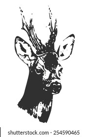 Hand drawn black and white buck silhouette, vector, illustration