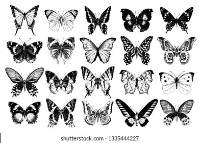 Hand drawn black and white butterflies collection. 20 unique elements. Vector illustration