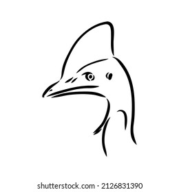 Hand drawn black and white Cassowary isolated on white background. Vector illustration in retro style.