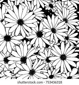hand drawn black and white daisy flowers as a background - vector illustration