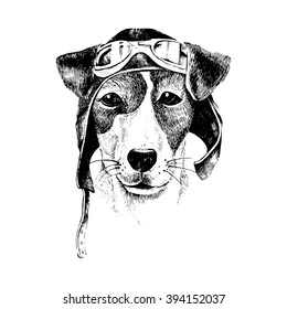 Hand drawn black and white dressed up dog aviator