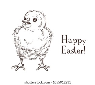 Hand drawn black and white easter gift card with little chick. Greate holiday doodle vintage illustration with funny yellow bird