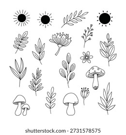 Hand- Drawn Black and White Elements of Nature and Fungi Keywords sun, leaves, branches, flowers, mushroom, fungi, nature, botanical, outline, drawing, illustration, simple, minimalist, graphic