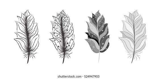 Hand drawn  black and white feathers set for your design, vector illustration
