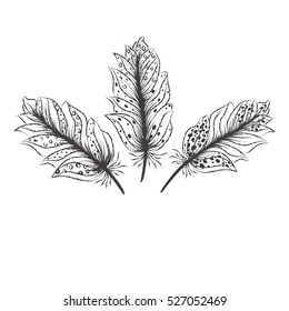 Hand drawn  black and white feathers set for your design, vector illustration