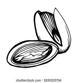 Ilustración en blanco y negro con mano de pistacho y media pistola en concha. Logo de dos nueces. Técnica gráfica manuscrita. Productos sanitarios. Tienda de nueces.