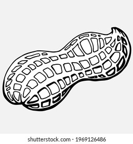 Hand drawn black and white illustration of a 
peanut in shell. 
Allergic reaction to peanuts (to nuts). Handwritten graphic technique