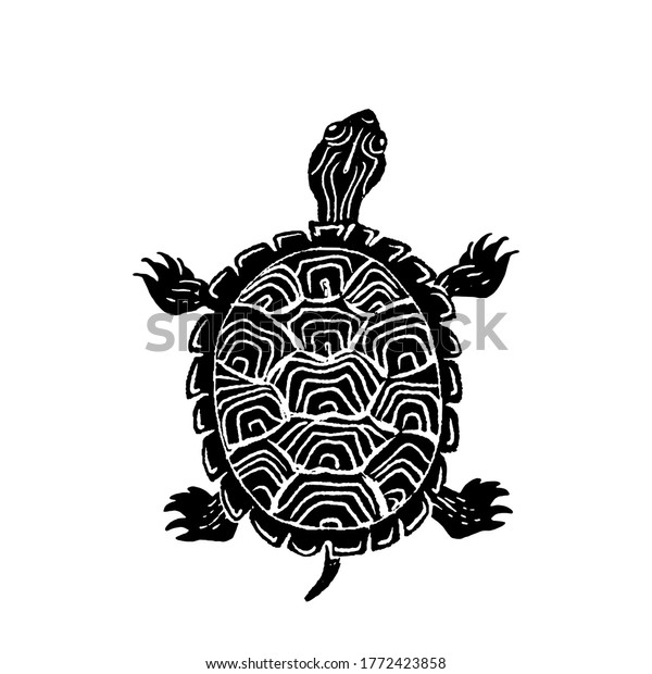 Hand drawn black and white\
illustration of Painted turtle, Chrysemys picta in linocut\
style.