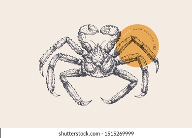 Hand drawn black   white king crab light isolated background  It can be used for the design the menu fish restaurants  for packaging in markets   in stores  Vector vintage illustration 