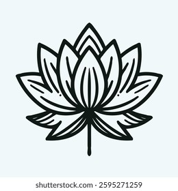 Hand drawn black and white lilies sketch, water lily buds flower, lotus leaf, set of flowers vector, illustration outline, botanical black and white line art, lineart leaves and stems in engraving