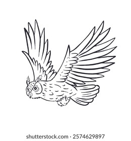 Hand drawn black and white line art eagle-owl flying isolated on white background. Monochrome nocturnal bird vector illustration.