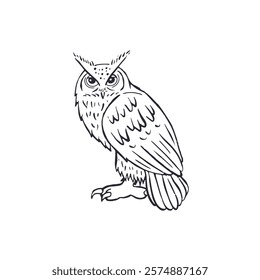 Hand drawn black and white line art eagle-owl standing isolated on white background. Monochrome nocturnal bird vector illustration.