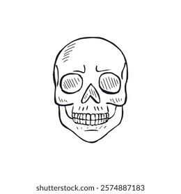 Hand drawn black and white line art human skull isolated on white background. Monochrome skeleton head design